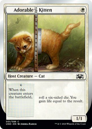 Adorable Kitten (Unsanctioned) Trading Card