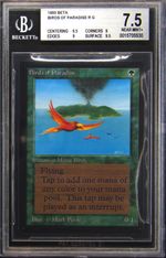 Birds of Paradise (Beta)