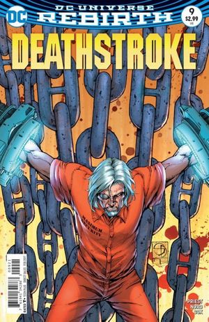 Deathstroke #9 (Variant Cover)