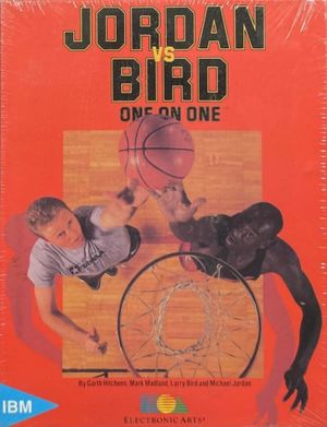 Jordan vs. Bird: One on One