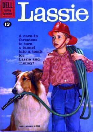 Lassie #53