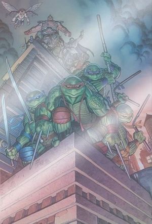 Teenage Mutant Ninja Turtles #1 (Adams Mystery Box Foil Edition)