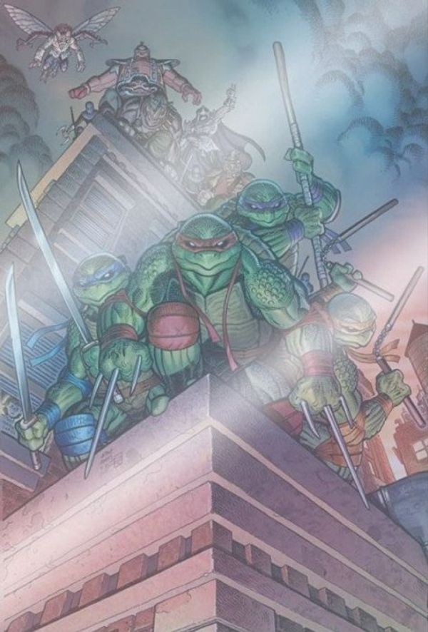 Teenage Mutant Ninja Turtles 1 (Adams Mystery Box Foil Edition) Value
