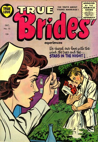 True Brides' Experiences #15 Comic