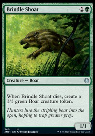 Brindle Shoat (Jumpstart) Trading Card