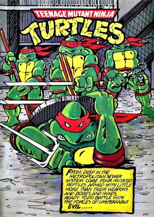 Teenage Mutant Ninja Turtles Street Collectors Edition #1 Comic