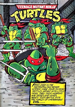 Teenage Mutant Ninja Turtles Street Collectors Edition #1