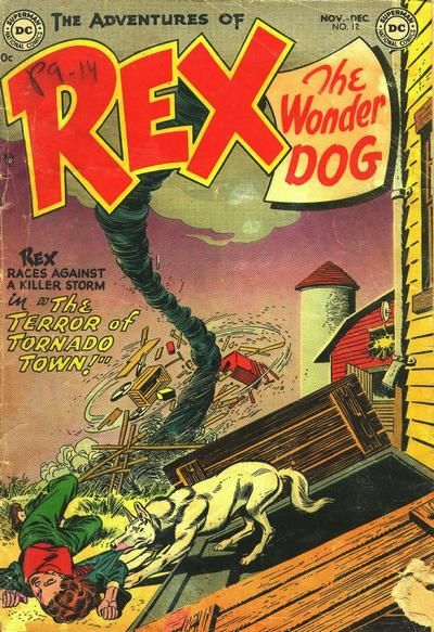 The Adventures of Rex the Wonder Dog #12 Comic