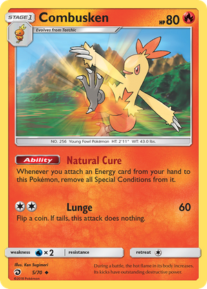 Combusken (5/70) - Dragon Majesty