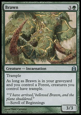 Brawn (MTG Commander) Trading Card