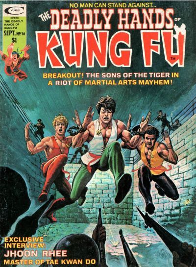 The Deadly Hands of Kung Fu #16 Comic