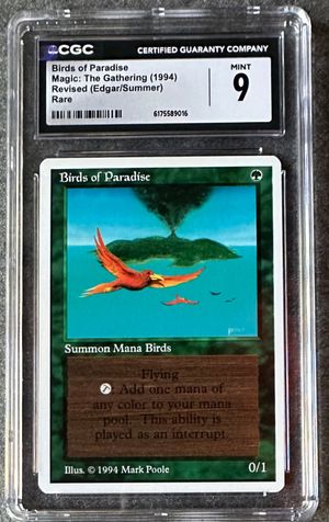 Birds of Paradise (Summer Magic)