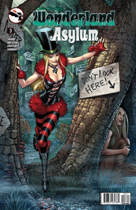 Grimm Fairy Tales Presents: Wonderland - Asylum #3 Comic