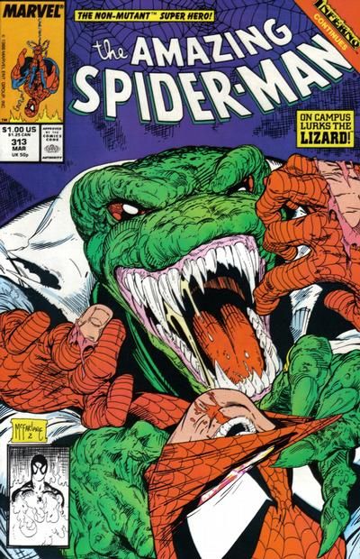 Amazing Spider-Man #313 Comic
