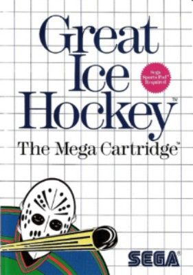 Great Ice Hockey Video Game