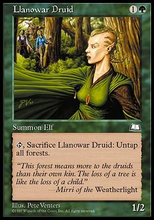 Llanowar Druid (Weatherlight) Trading Card