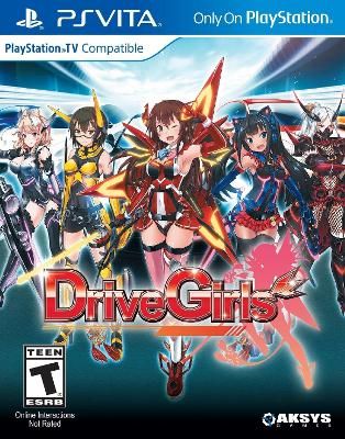 Drive Girls Video Game