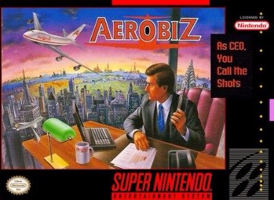 Aerobiz Video Game