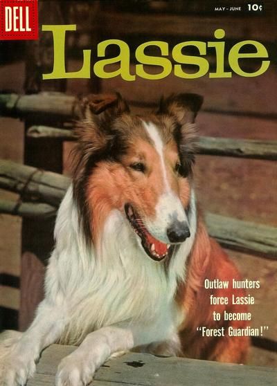 Lassie #40 Comic