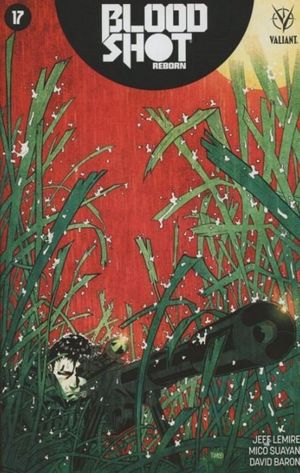 Bloodshot Reborn  #17 (Cover C Green Ii)