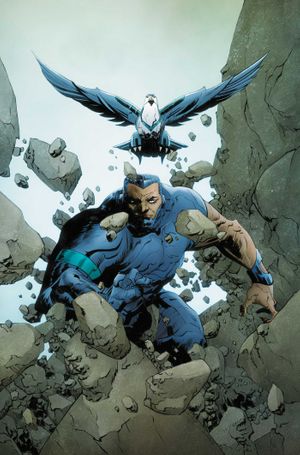 Silverhawks #8 (Cvr O Inc 1:25 Jae Lee June Chung Virgin Variant)