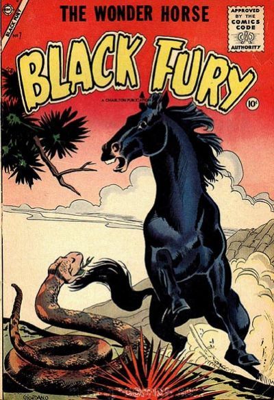 Black Fury #7 Comic