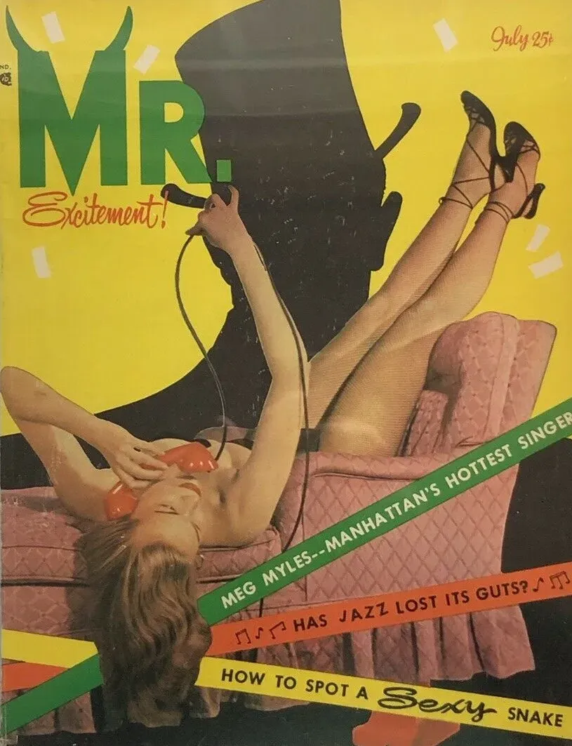 Mr. Magazine Magazine
