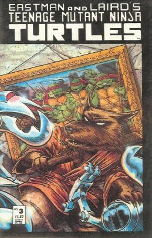 Teenage Mutant Ninja Turtles #3 (2nd Printing)