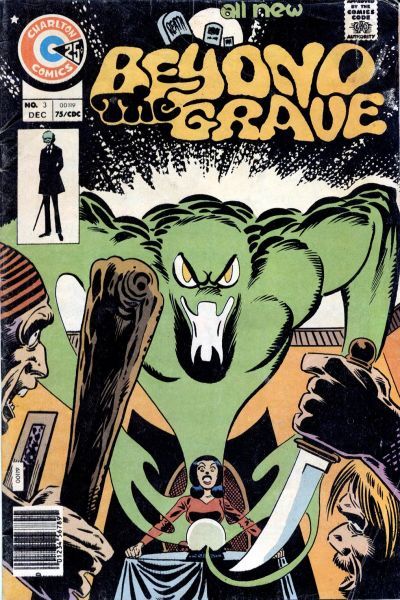 Beyond the Grave #3 Comic