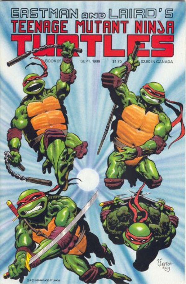 Teenage Mutant Ninja Turtles #25