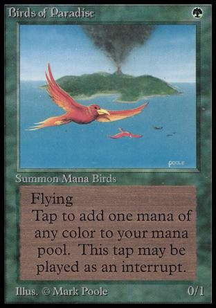 Birds of Paradise (Beta) Trading Card