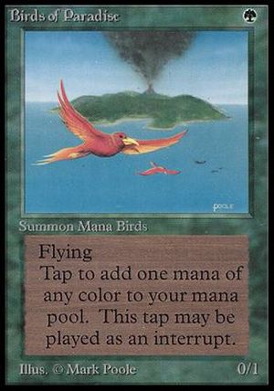 Birds of Paradise (Beta)