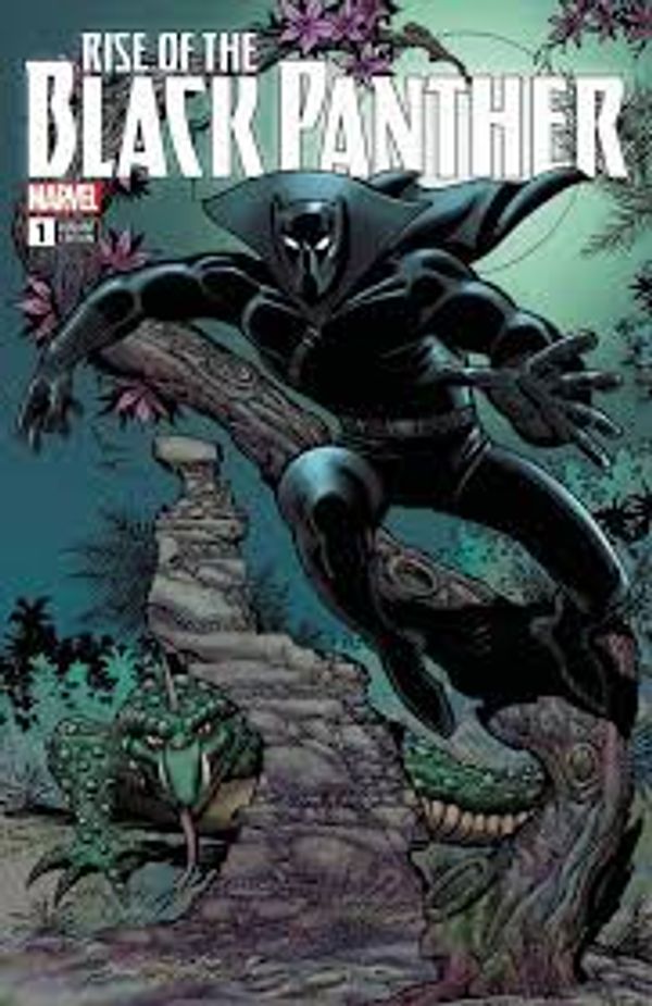 Rise of the Black Panther #1 (Sinnott Variant Cover)