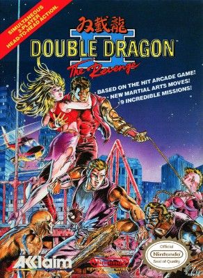 Double Dragon II: The Revenge Video Game