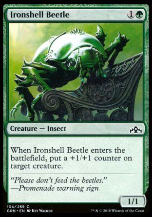 Ironshell Beetle (Guilds of Ravnica) Trading Card