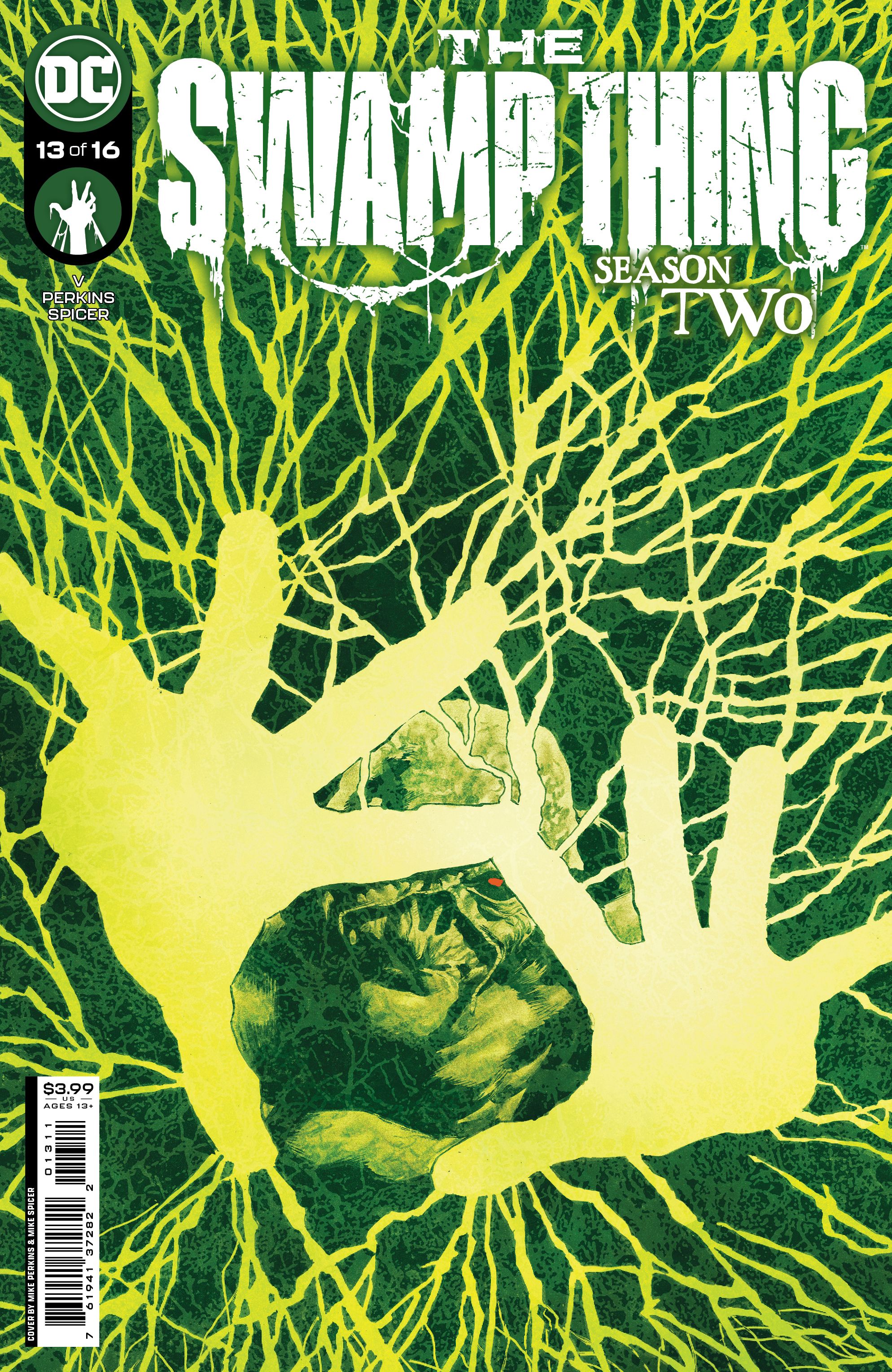 Swamp Thing #13 Comic