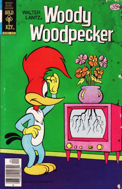 Walter Lantz Woody Woodpecker #170 Comic