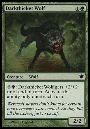 Darkthicket Wolf (Innistrad) Trading Card