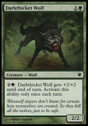 Darkthicket Wolf (Innistrad)