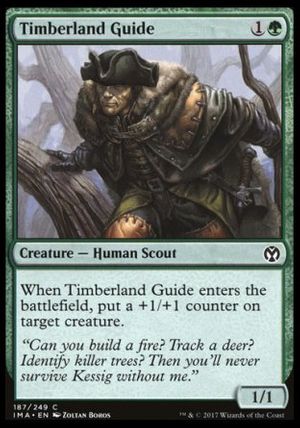 Timberland Guide (Iconic Masters)