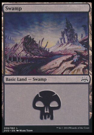 Swamp (Duel Decks : Anthology) Trading Card