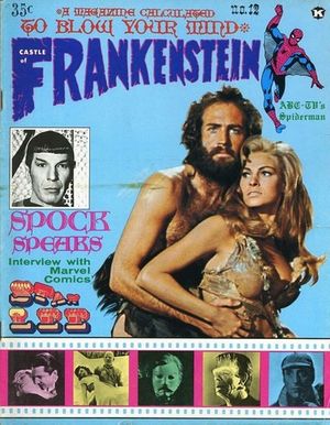 Castle of Frankenstein #12