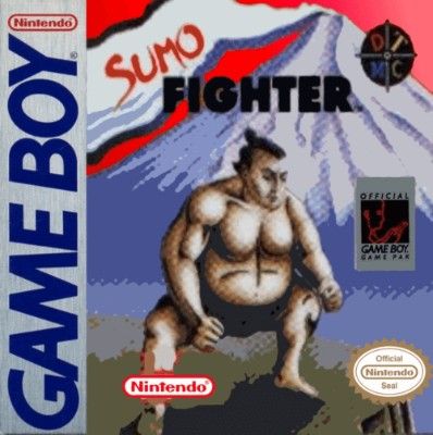 Sumo Fighter Video Game