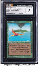 Birds of Paradise (Alpha)