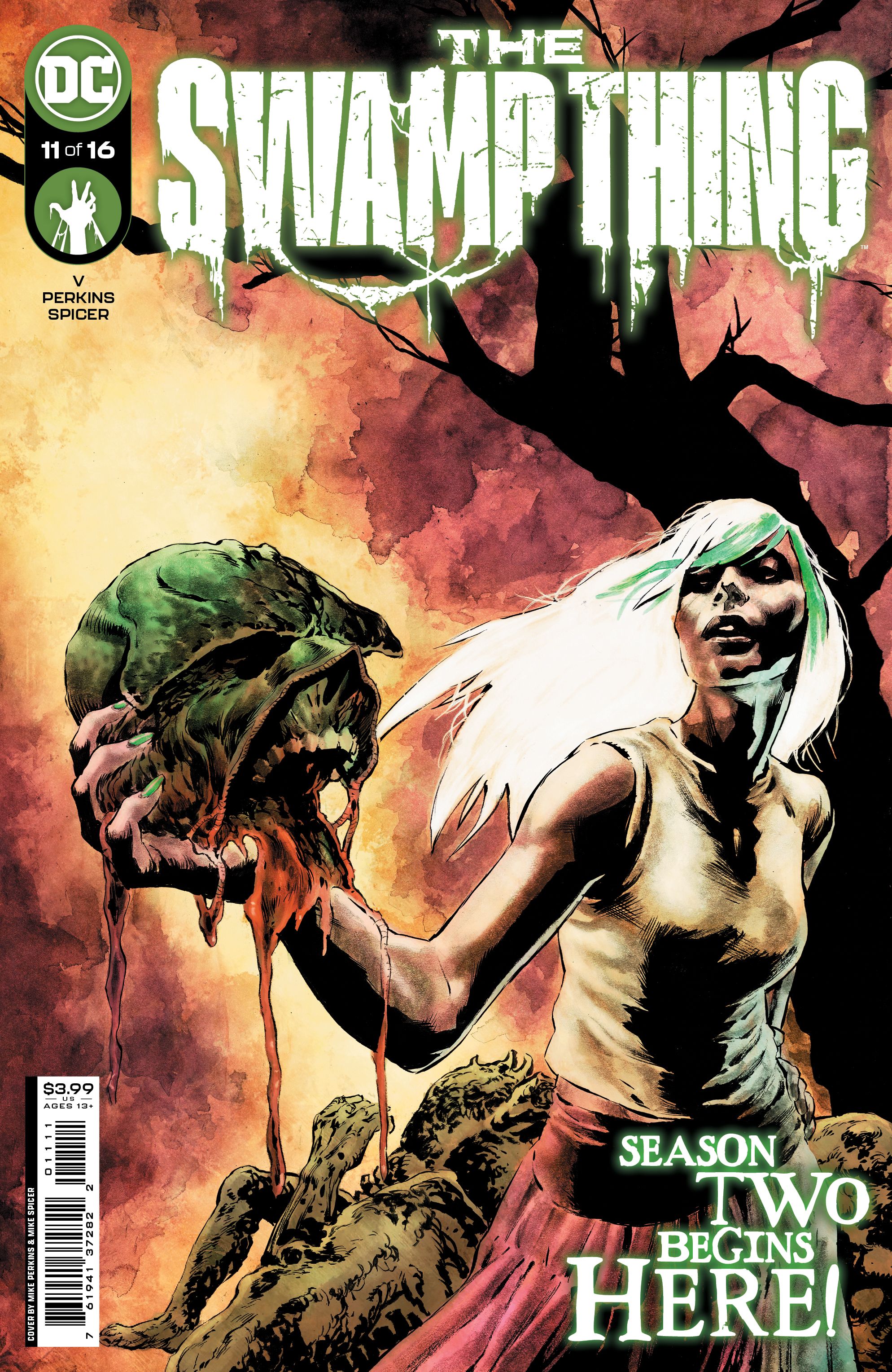 Swamp Thing #11 Comic