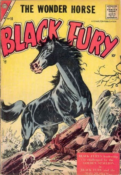 Black Fury #10 Comic