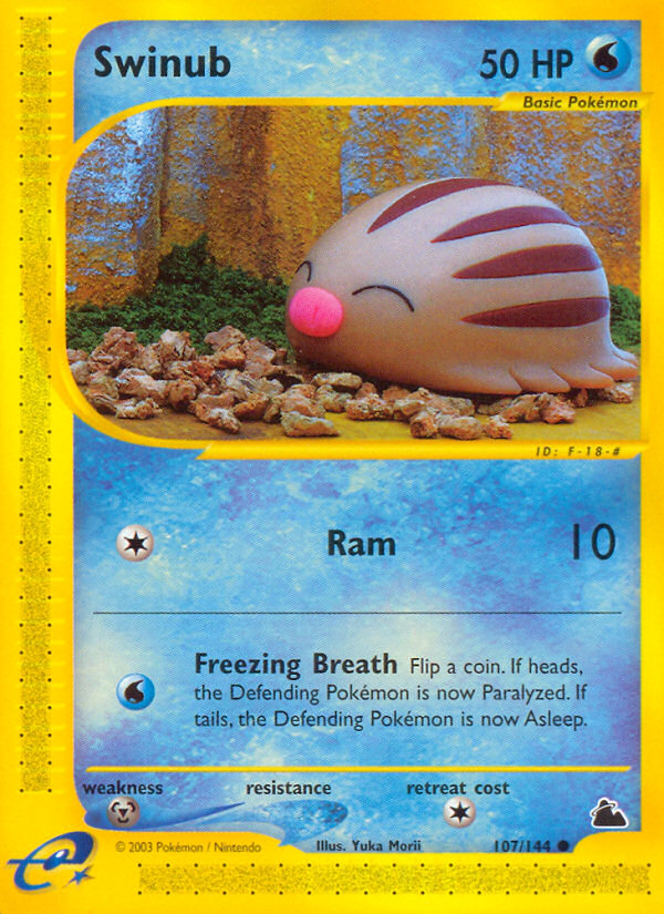 Swinub (107/144) - Skyridge Pokémon Card