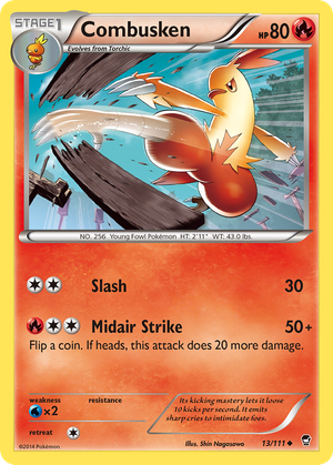 Combusken (13/111) - Furious Fists