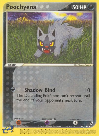 Poochyena (65/109) - Ruby & Sapphire Pokémon Card