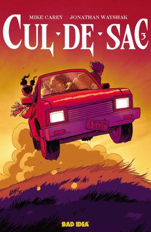Cul De Sac #3 (Cvr B Tony Fleecs Cursed Mirror Variant)